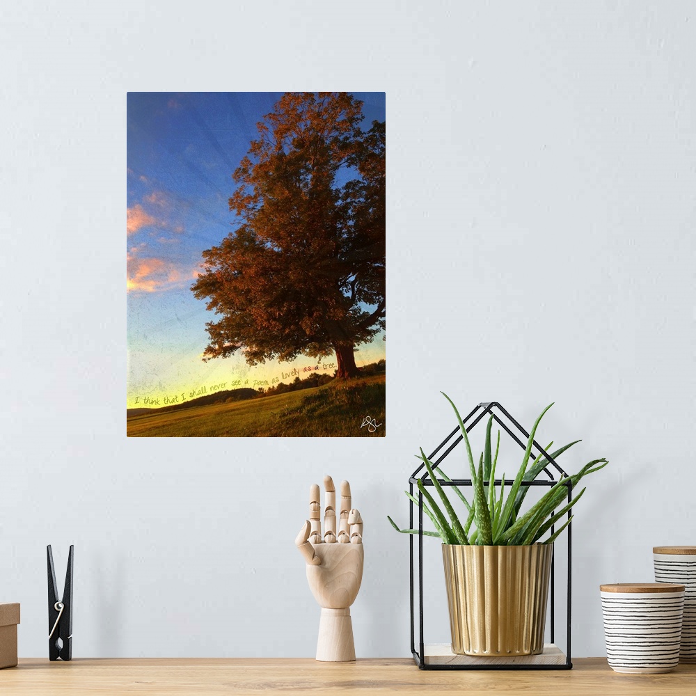 A bohemian room featuring Motivational text against background photograph of a countryside scene.