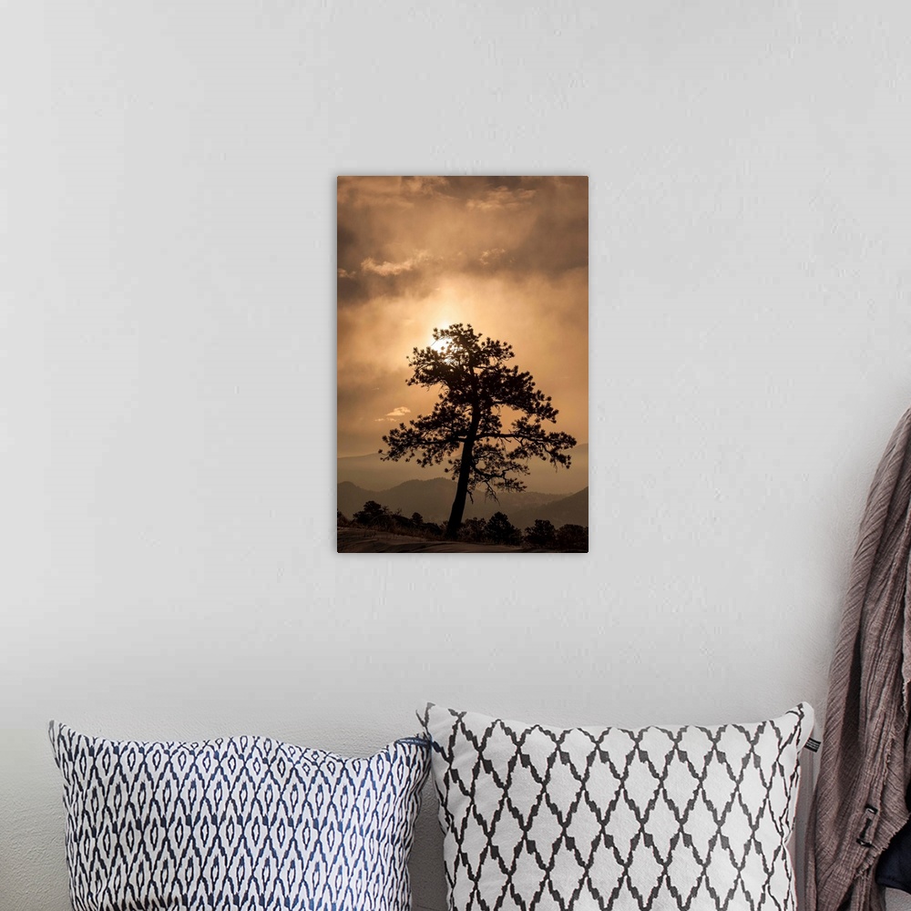 A bohemian room featuring A photograph of a silhouetted tree against a sunset.