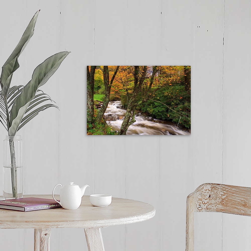 A farmhouse room featuring Fine art photograph of a trees along a river in a forest.