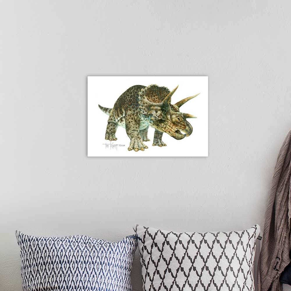A bohemian room featuring Triceratops, dinosaur