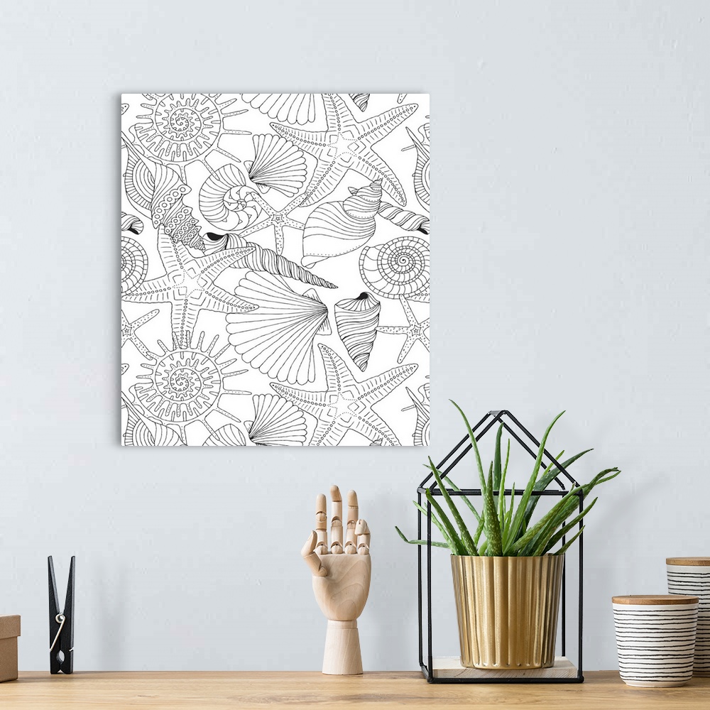 A bohemian room featuring Tropical themed black and white line art of different types of seashells and starfish.