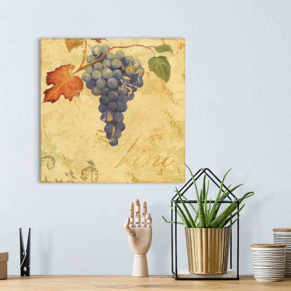 A bohemian room featuring grape vinewine, vino