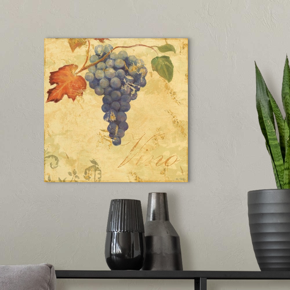 A modern room featuring grape vinewine, vino