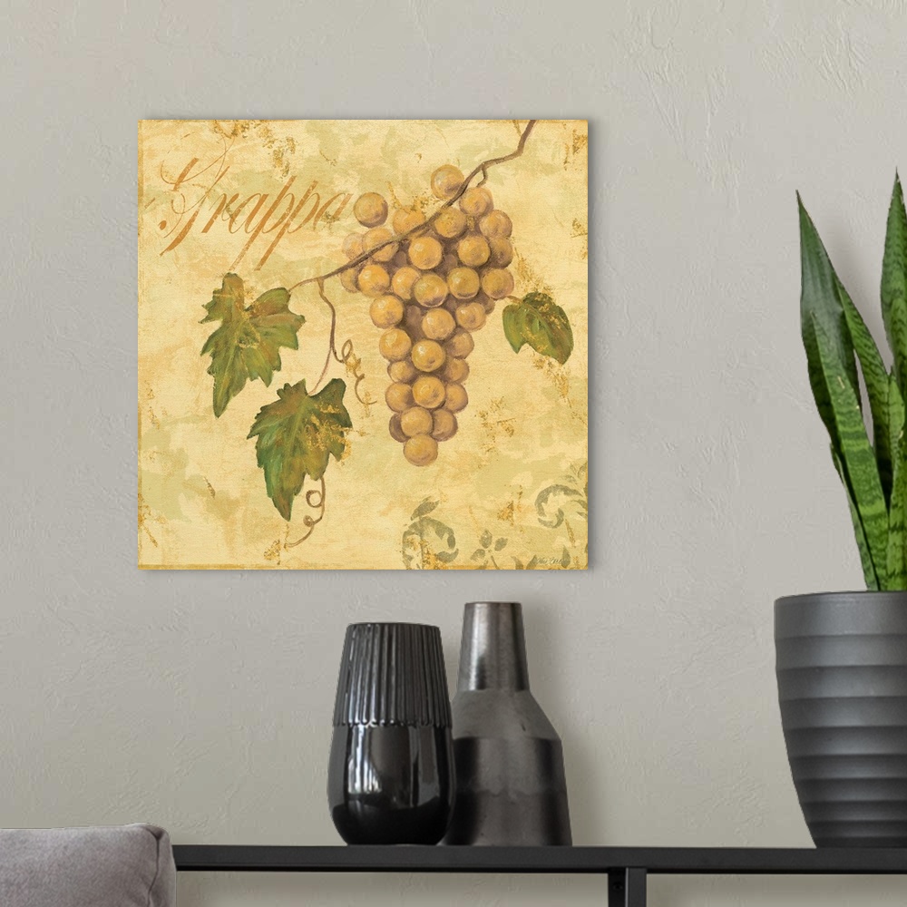 A modern room featuring grape vinewine