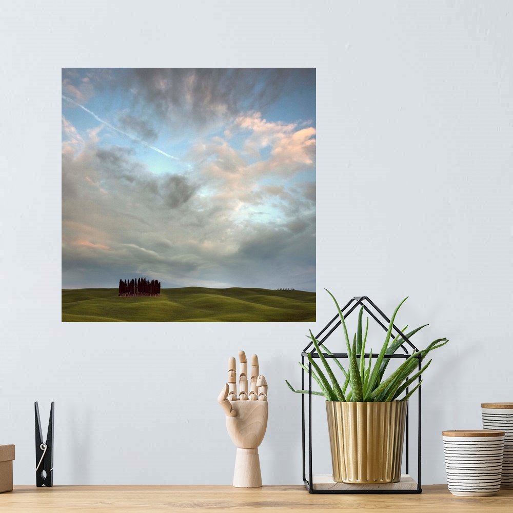 A bohemian room featuring Tuscany VIII - a stand of Cypress trees in front of a bright sky