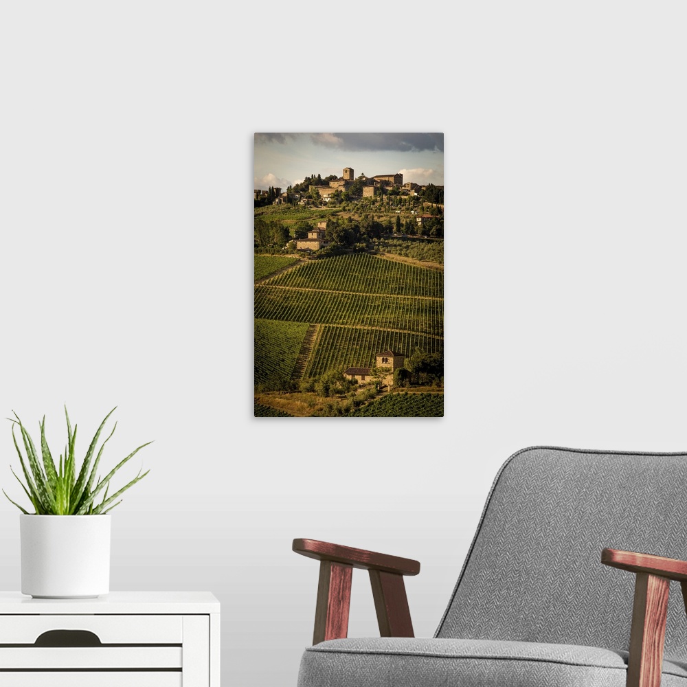 A modern room featuring A photograph of a Tuscan landscape covered in vineyards.