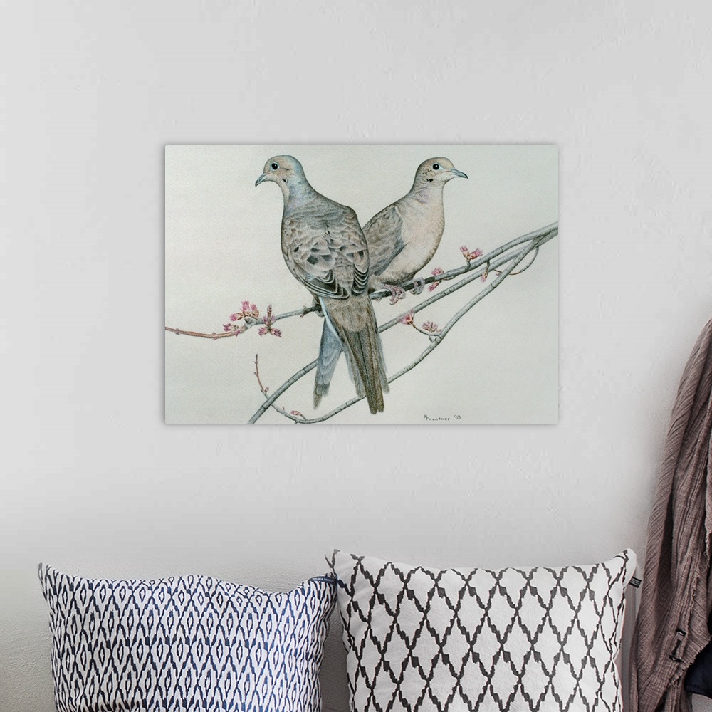 A bohemian room featuring Two mourning doves perched on a branch
