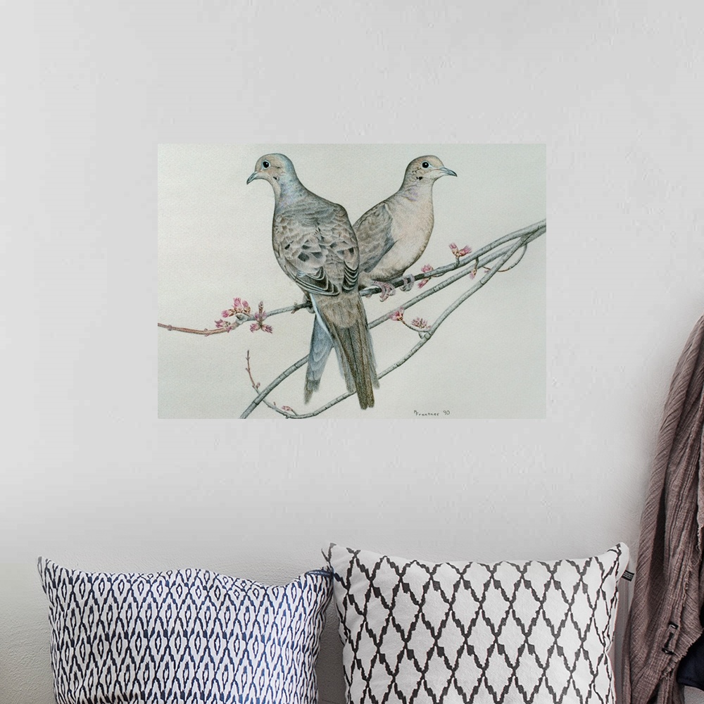 A bohemian room featuring Two mourning doves perched on a branch
