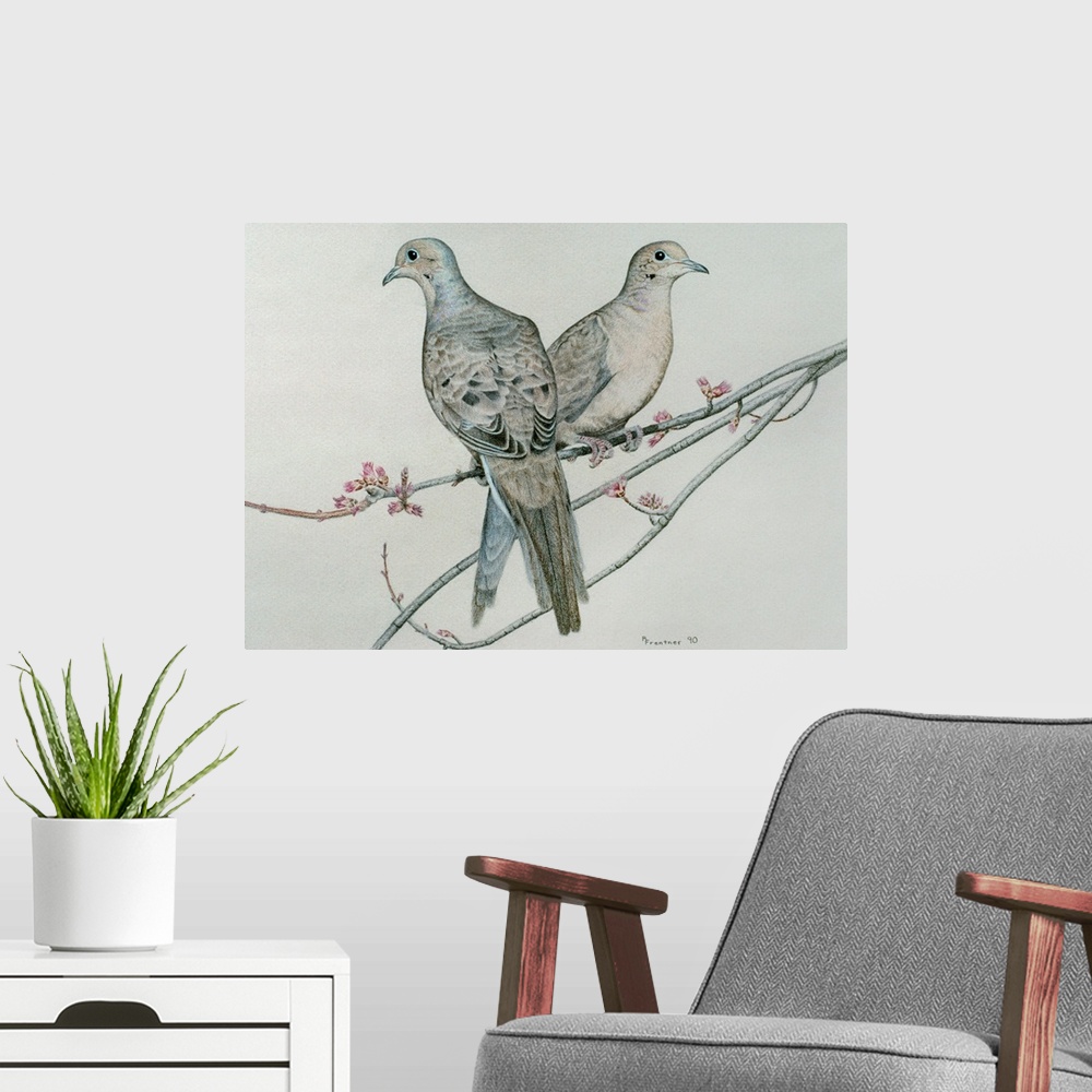 A modern room featuring Two mourning doves perched on a branch