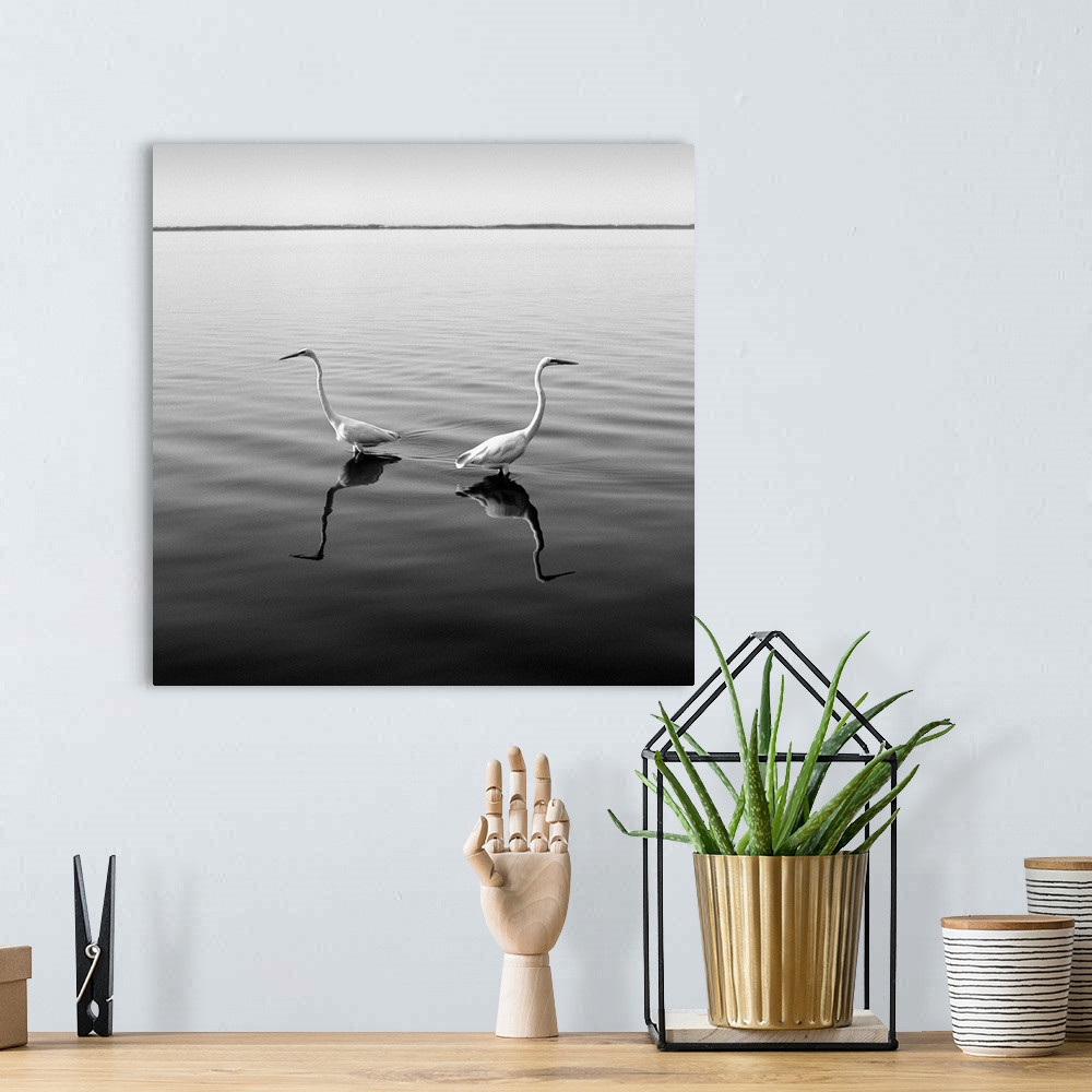 A bohemian room featuring Two herons, boat, water, black and white photography