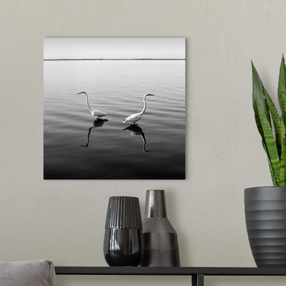 A modern room featuring Two herons, boat, water, black and white photography