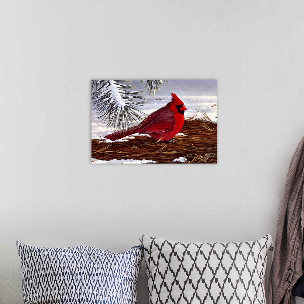A bohemian room featuring Male cardinal on ground in winter.