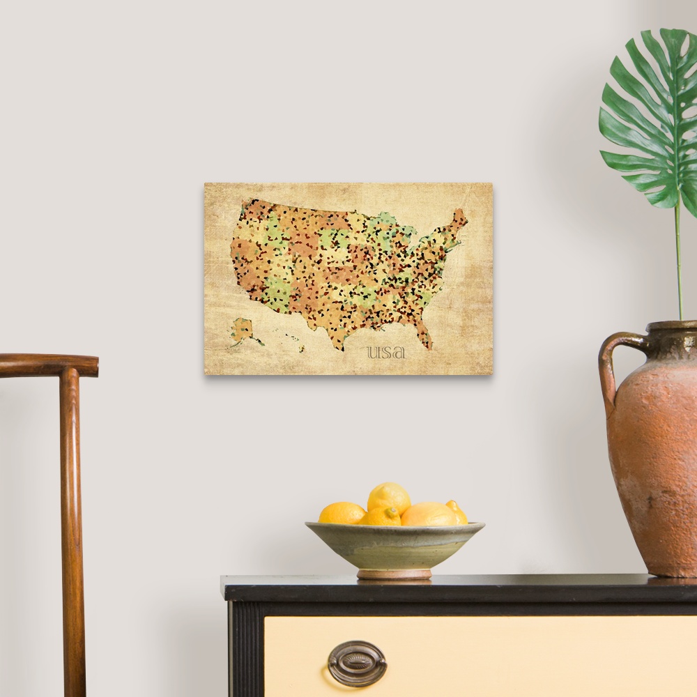 A traditional room featuring USA Crystallized County Map