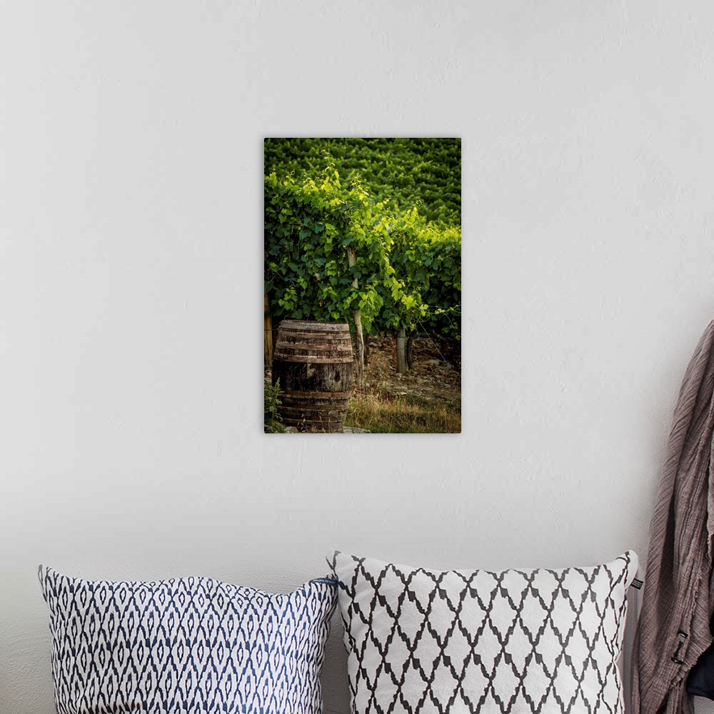 A bohemian room featuring Landscape photograph of a vineyard with an old wine barrel in the foreground.