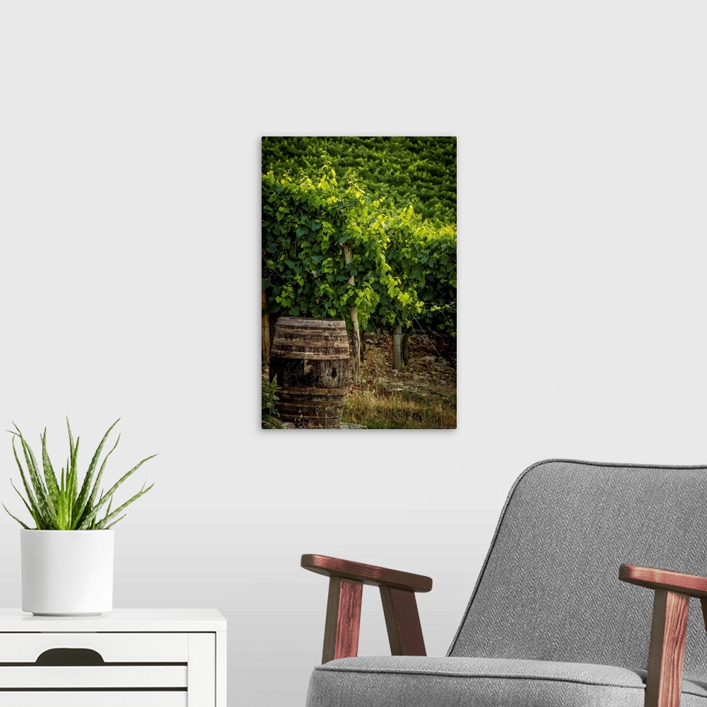 A modern room featuring Landscape photograph of a vineyard with an old wine barrel in the foreground.