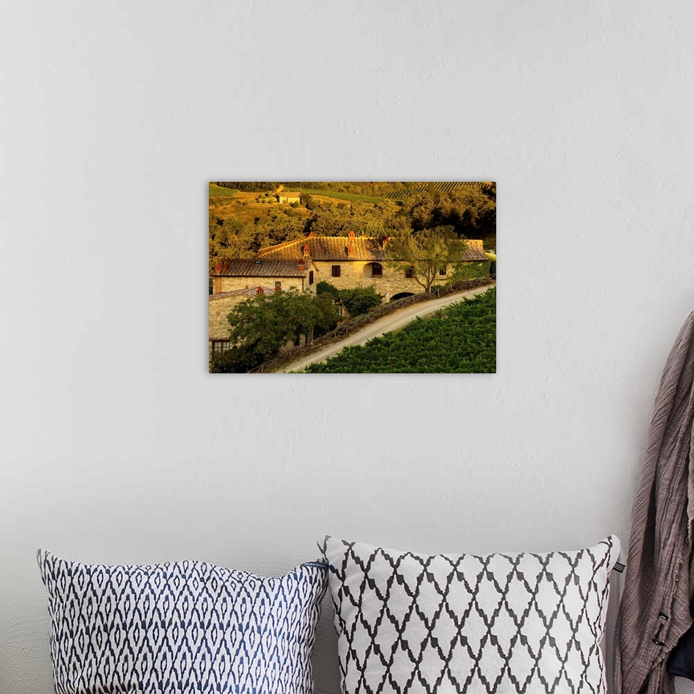 A bohemian room featuring Landscape photograph of a vineyard in the Mediterranean with a building made of stone in the center.