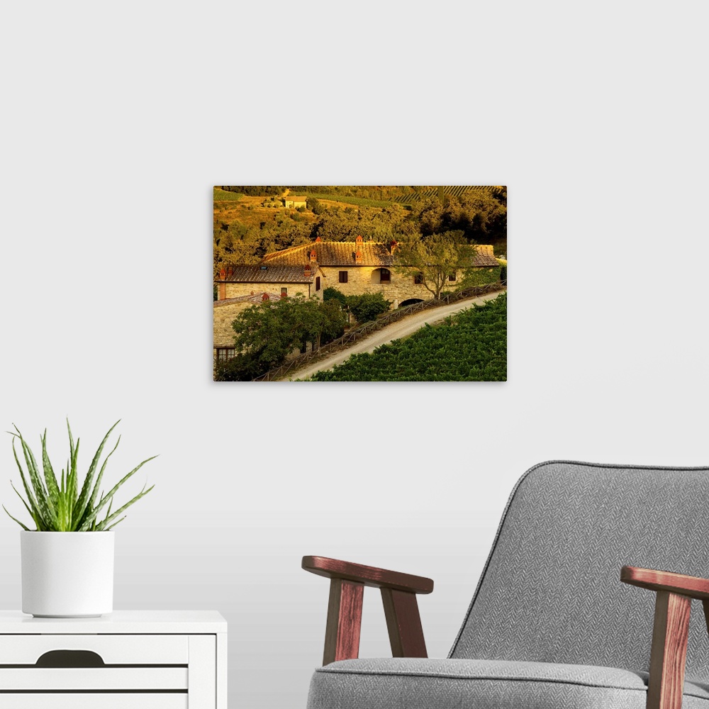A modern room featuring Landscape photograph of a vineyard in the Mediterranean with a building made of stone in the center.