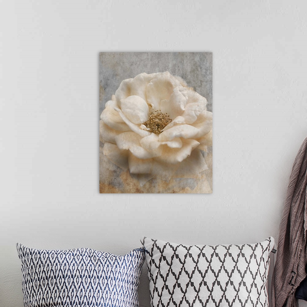A bohemian room featuring Close up photo of a white rose.