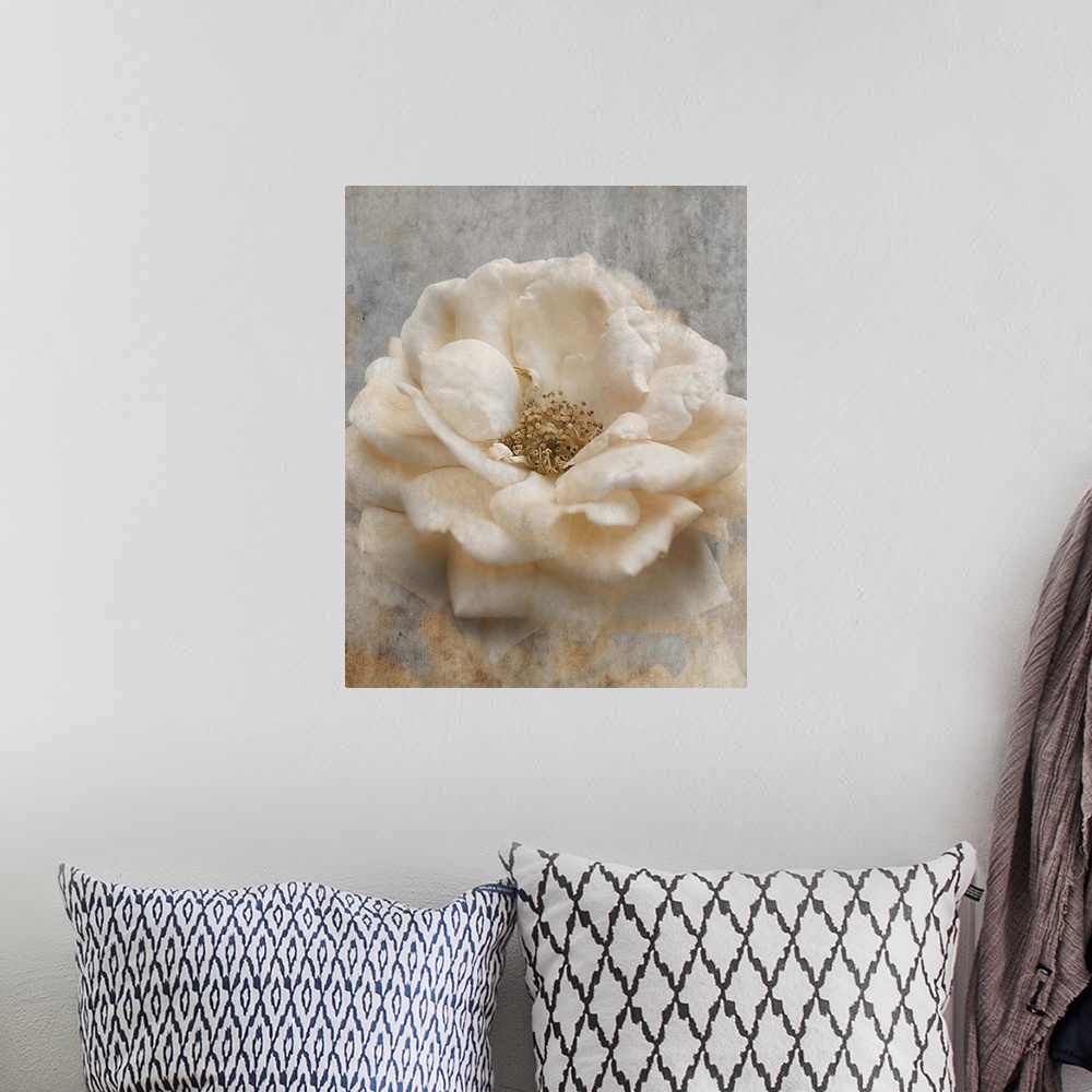 A bohemian room featuring Close up photo of a white rose.