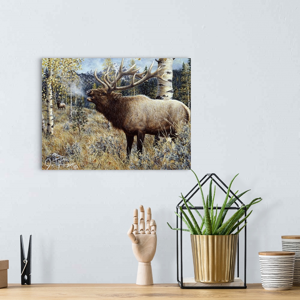 A bohemian room featuring elk standing in field by birch trees