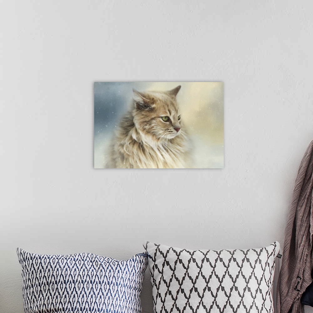 A bohemian room featuring Fine art photo of a long haired cat watching snowflakes.