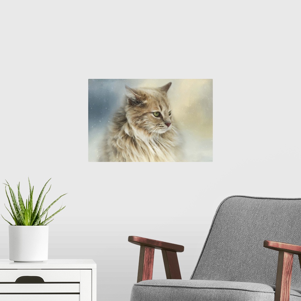 A modern room featuring Fine art photo of a long haired cat watching snowflakes.