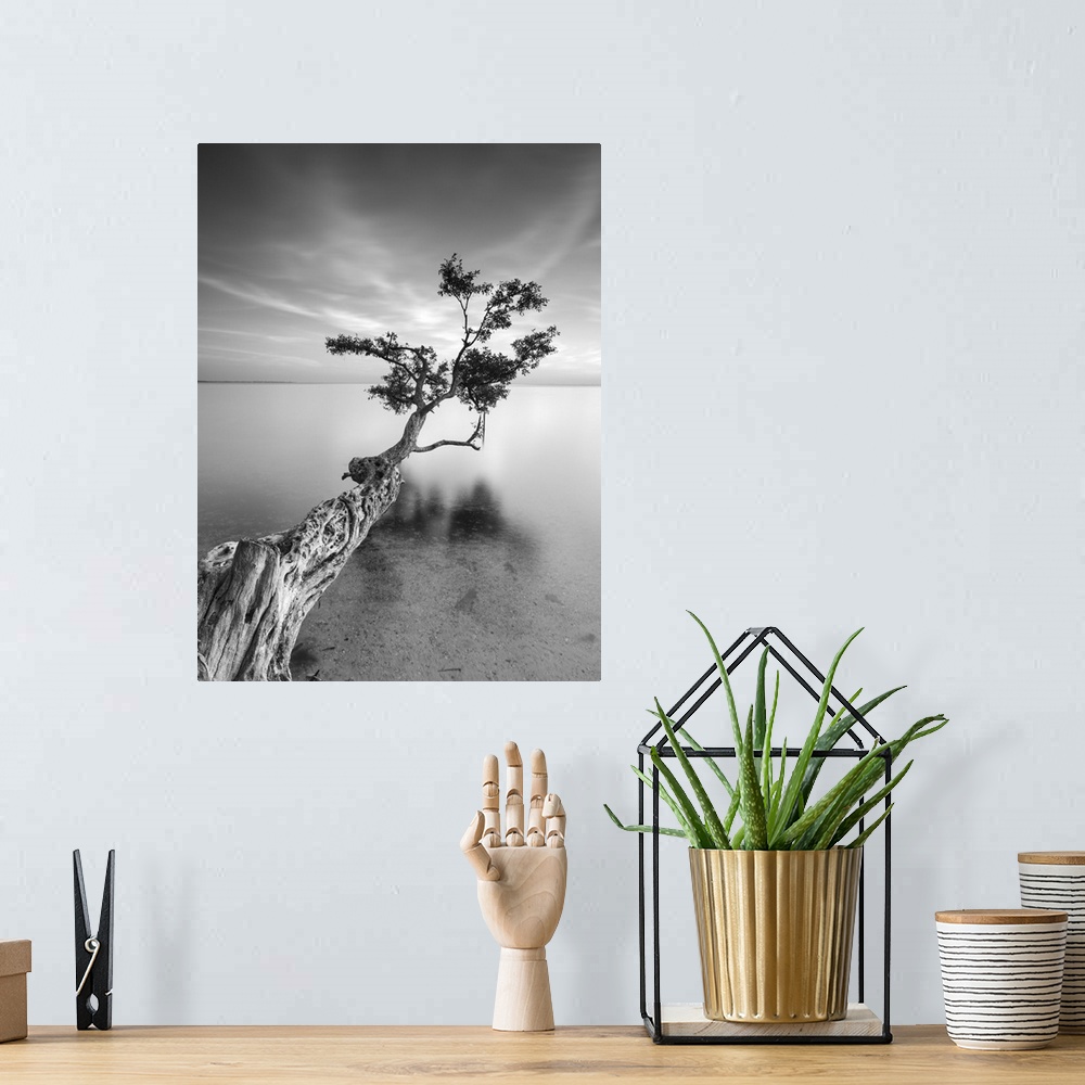 A bohemian room featuring ocean, tree water Black and White photography