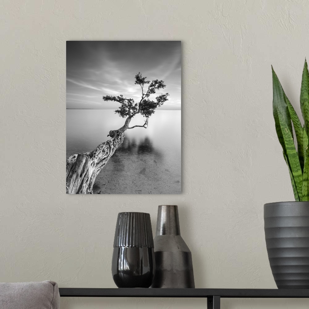 A modern room featuring ocean, tree water Black and White photography