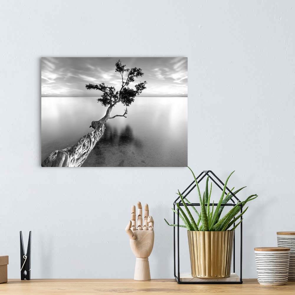 A bohemian room featuring ocean, tree water, Black and White Photography