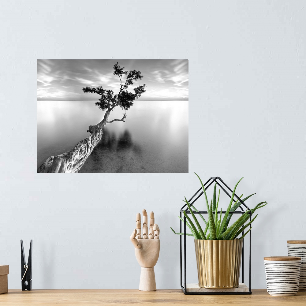 A bohemian room featuring ocean, tree water, Black and White Photography