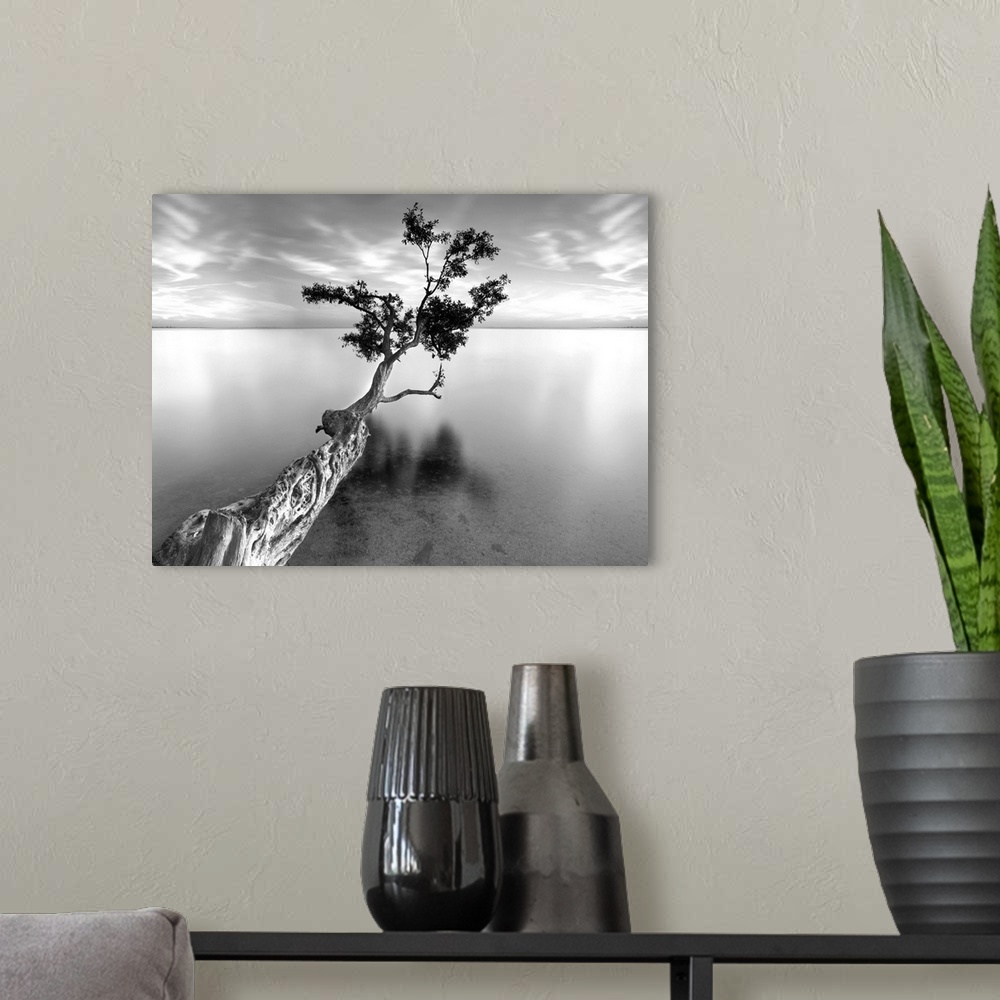 A modern room featuring ocean, tree water, Black and White Photography