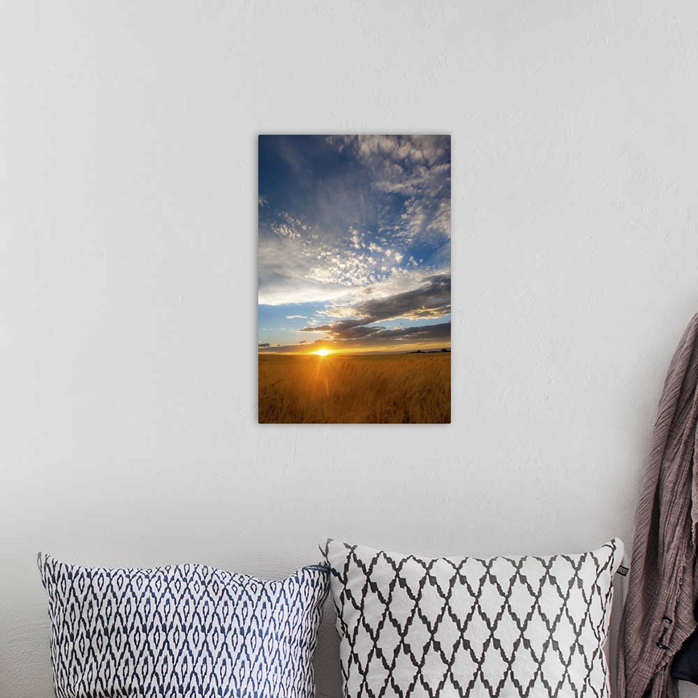 A bohemian room featuring A photograph of a wheat field seen at sunset with dramatic clouds overhead.