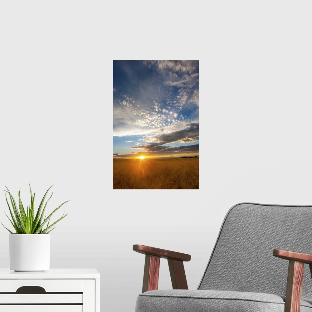 A modern room featuring A photograph of a wheat field seen at sunset with dramatic clouds overhead.