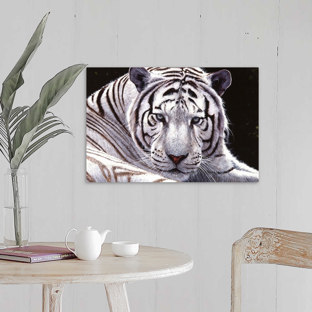A farmhouse room featuring Contemporary painting of a white tiger laying down.