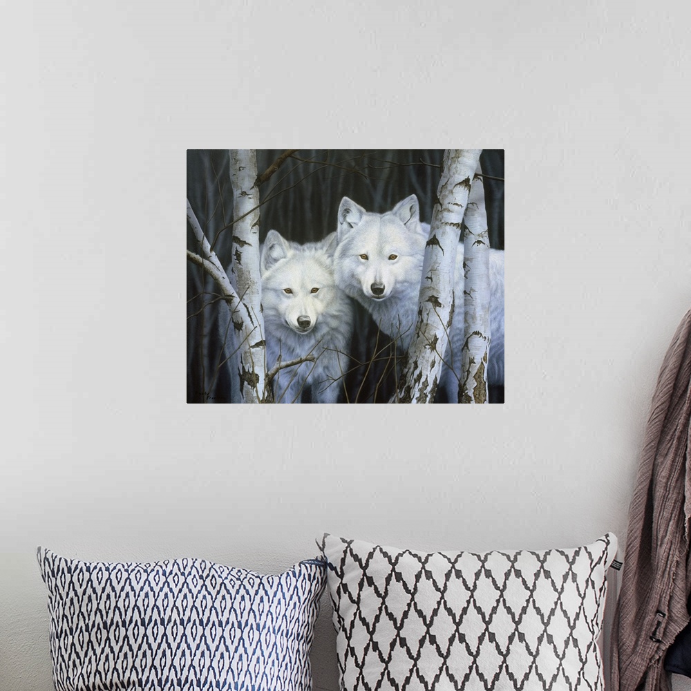 A bohemian room featuring Two white wolves standing among the white birches.