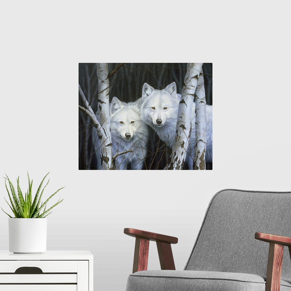 A modern room featuring Two white wolves standing among the white birches.
