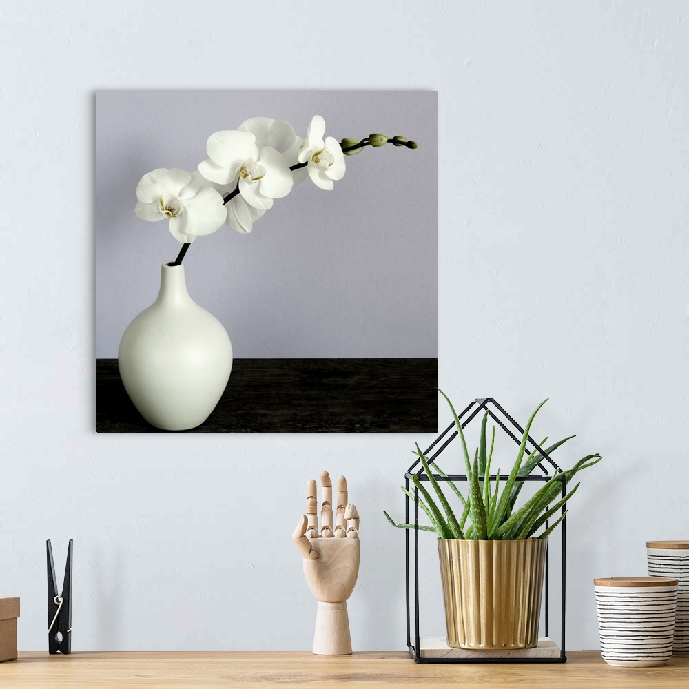 A bohemian room featuring White Orchids in a White Vase