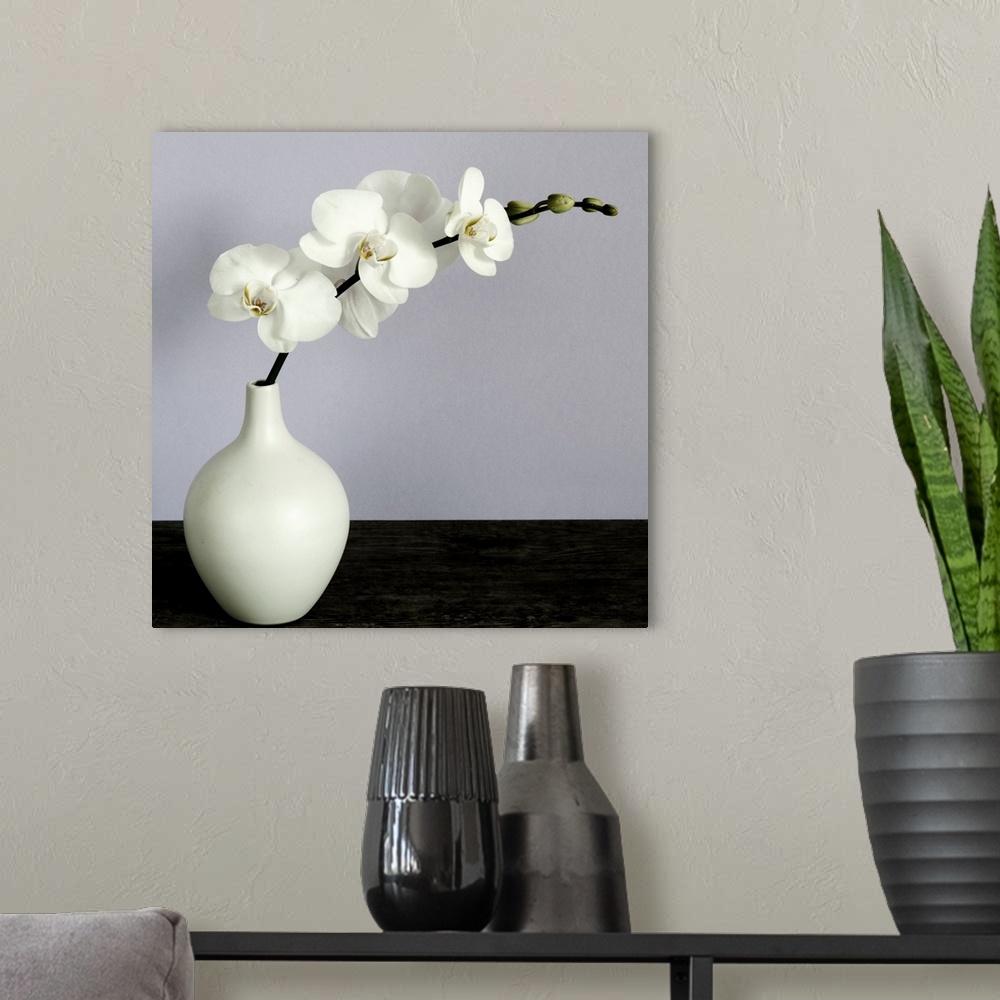 A modern room featuring White Orchids in a White Vase