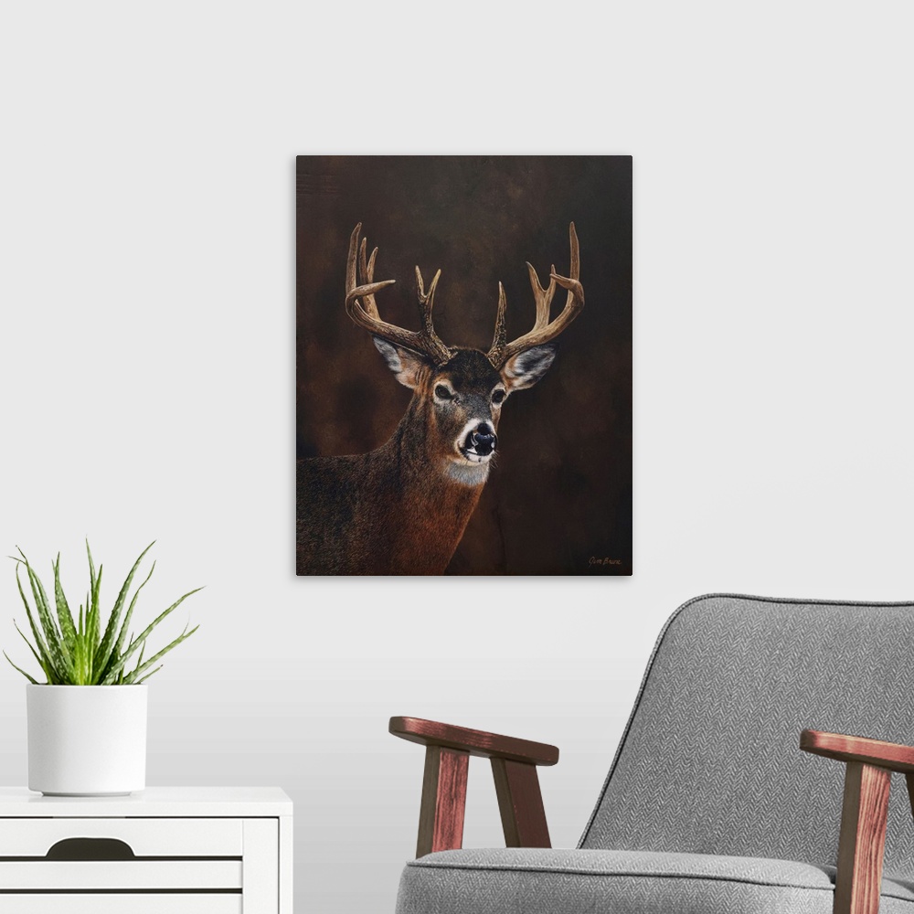 A modern room featuring White Tailed 12 Point Buck