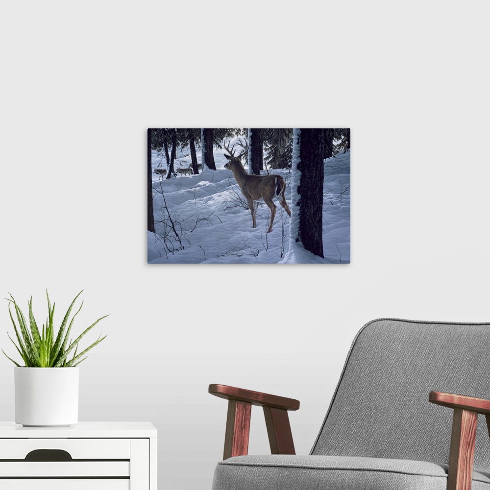 A modern room featuring A buck spots a group of wolves passing by.