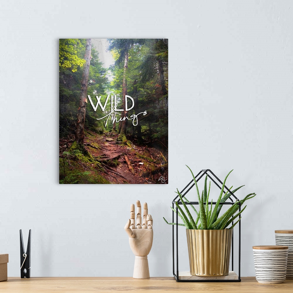 A bohemian room featuring Motivational text against background photograph of foggy forest scene.