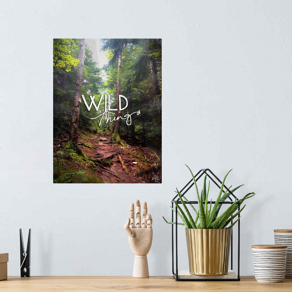 A bohemian room featuring Motivational text against background photograph of foggy forest scene.