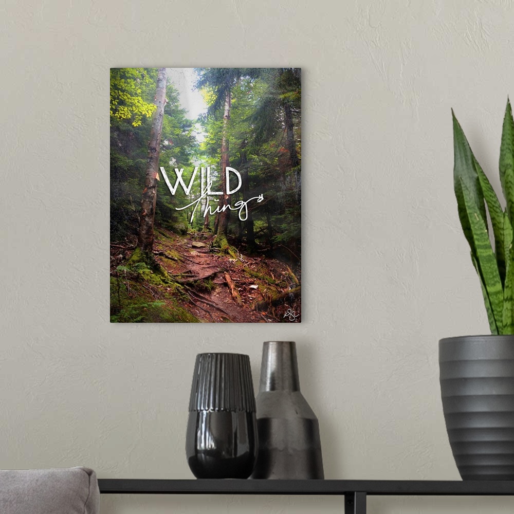 A modern room featuring Motivational text against background photograph of foggy forest scene.