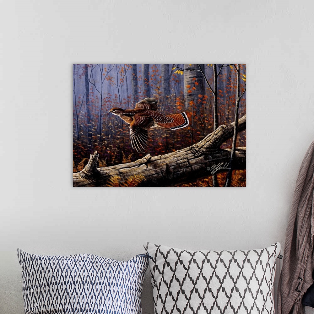 A bohemian room featuring A ruffed grouse in flight through the fall trees.