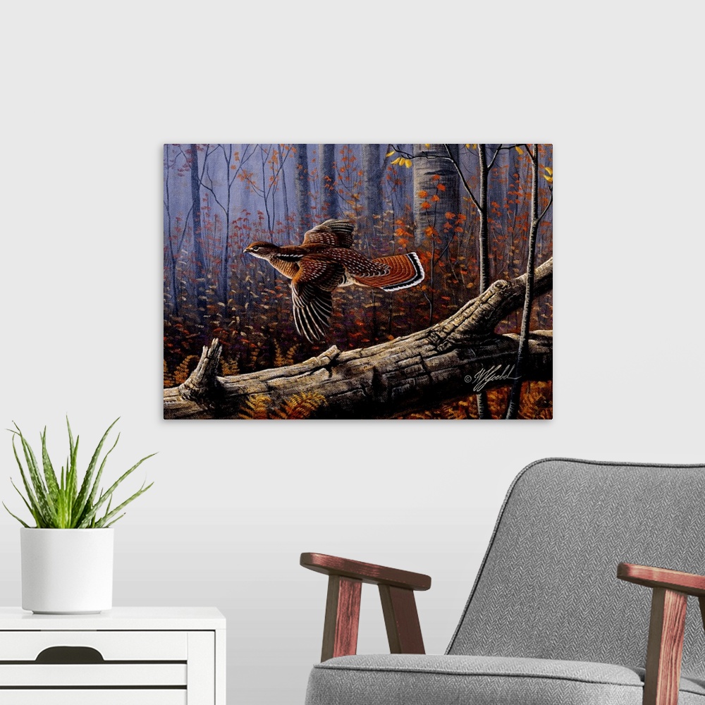A modern room featuring A ruffed grouse in flight through the fall trees.
