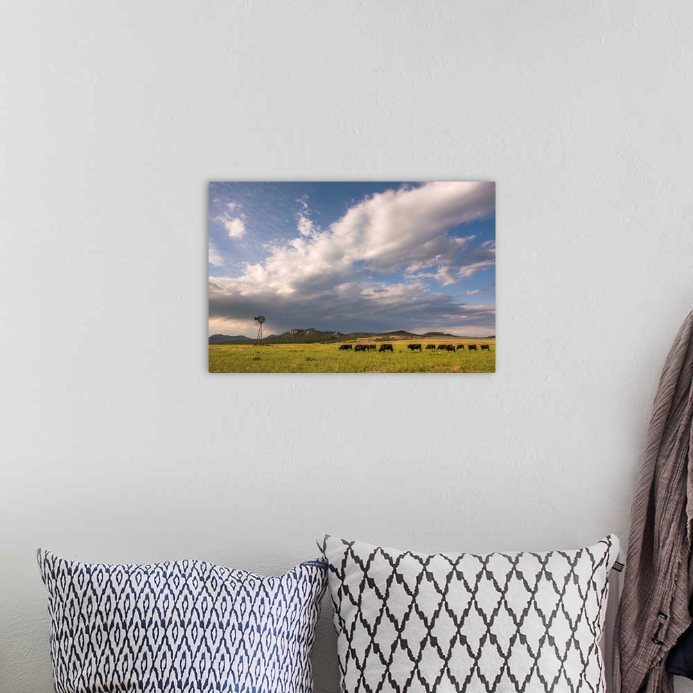 A bohemian room featuring Landscape photograph of a field with a herd of cattle and a windmill.