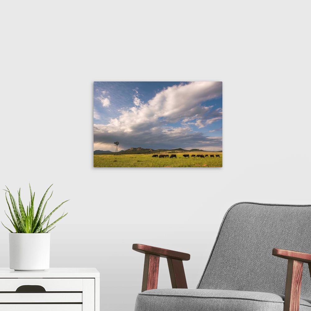 A modern room featuring Landscape photograph of a field with a herd of cattle and a windmill.