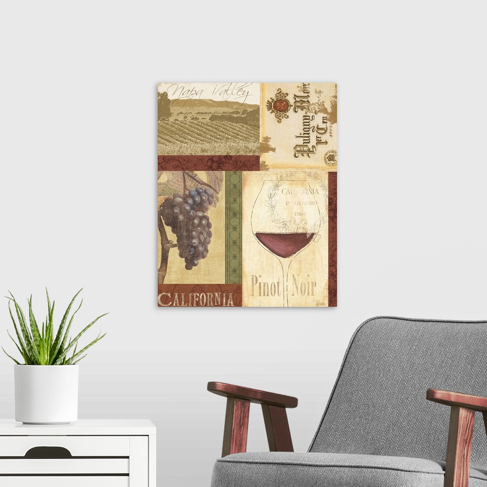 A modern room featuring Napa Valley, California, pinot noir, chardonnay, France, grapes, red , white wine,  glass,  label