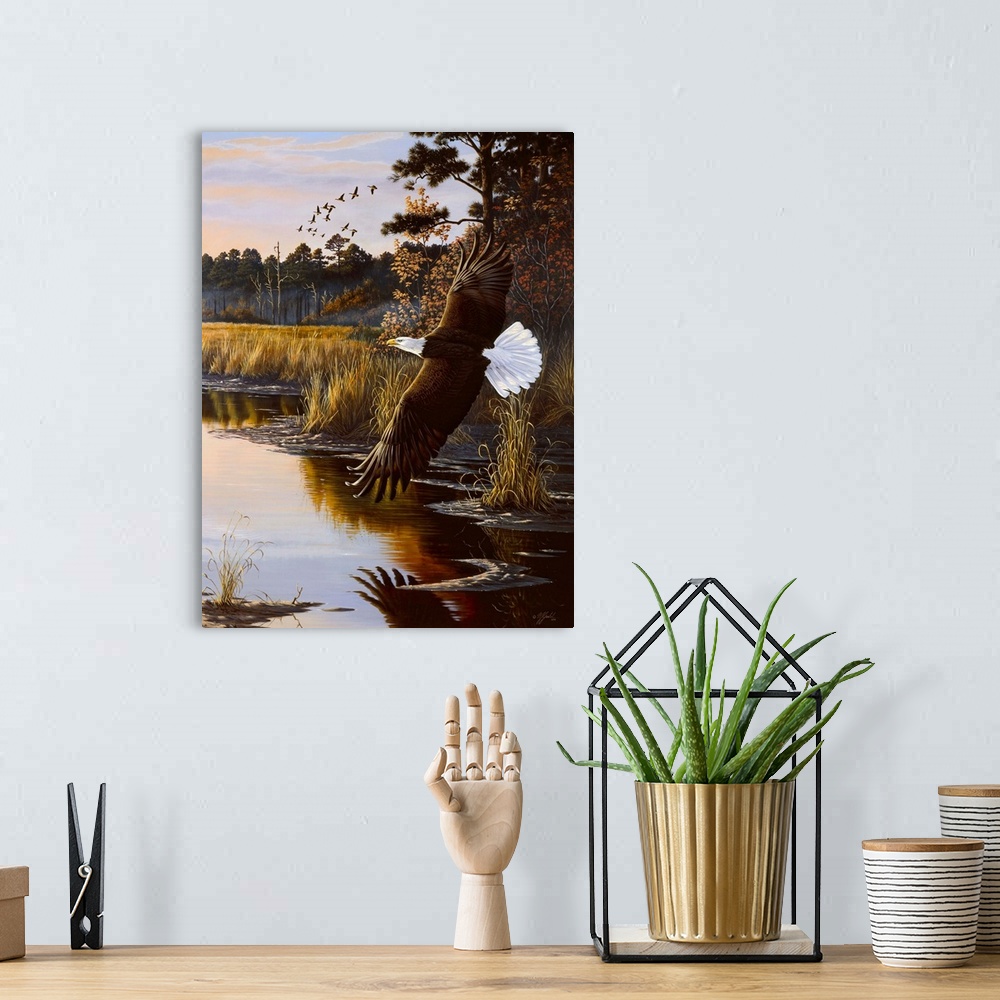 A bohemian room featuring Bald eagle flying over a swamp at sunrise.