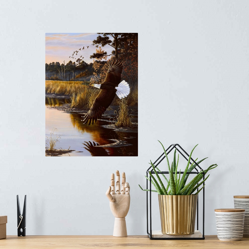 A bohemian room featuring Bald eagle flying over a swamp at sunrise.